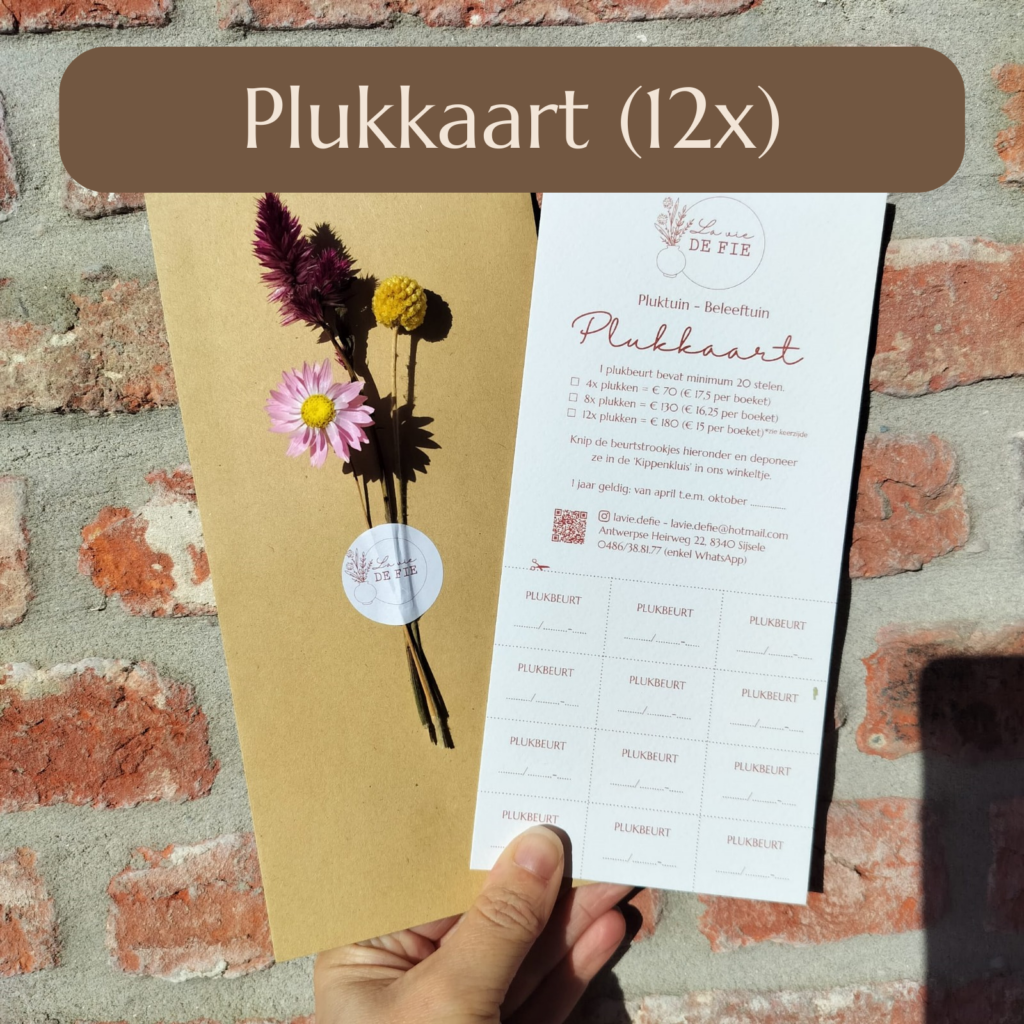 Plukkaart – 12x Plukken ✂️🌻