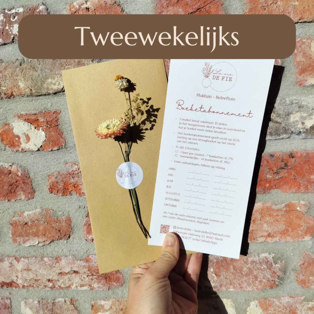 Boeketabonnement – Tweewekelijks 💐